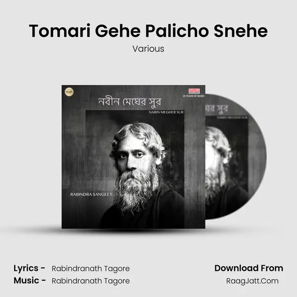 Tomari Gehe Palicho Snehe MP3 Song by Various Cover