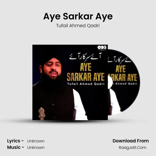 Aye Sarkar Aye - Single - Tufail Ahmed Qadri