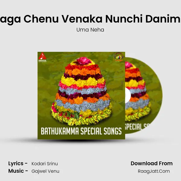 Shanaga Chenu Venaka Nunchi Danimmalo MP3 Song by Uma Neha Cover