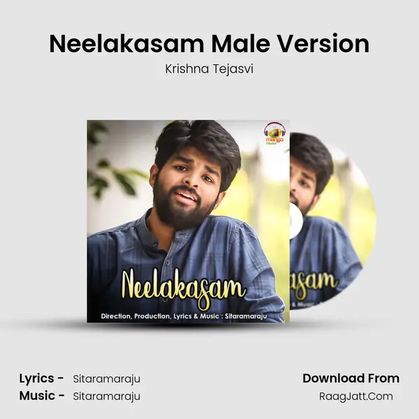 Neelakasam Male Version MP3 Song by Krishna Tejasvi Cover