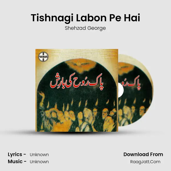 Tishnagi Labon Pe Hai MP3 Song by Shehzad George Cover
