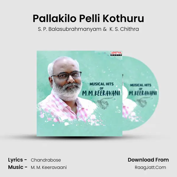 Pallakilo Pelli Kothuru Cover