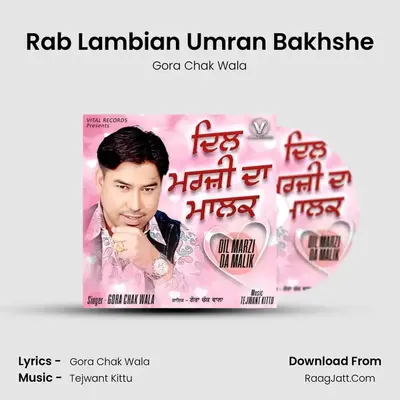 Rab Lambian Umran Bakhshe MP3 Song by Gora Chak Wala Cover