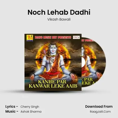 Noch Lehab Dadhi MP3 Song by Vikash Bawali Cover