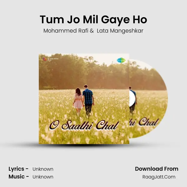 Tum Jo Mil Gaye Ho Cover