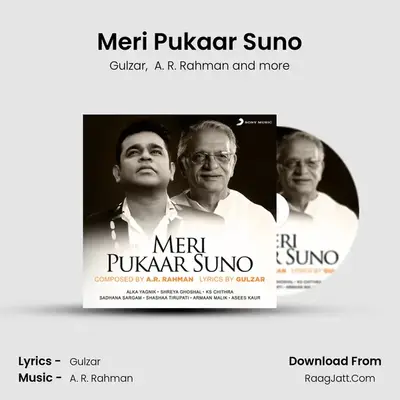 Meri Pukaar Suno Cover