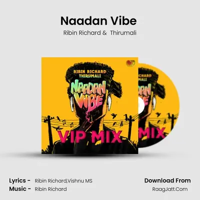 Naadan Vibe (Vip Mix) mp3 song