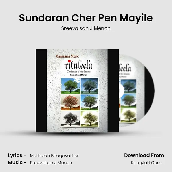 Sundaran Cher Pen Mayile MP3 Song by Sreevalsan J Menon Cover