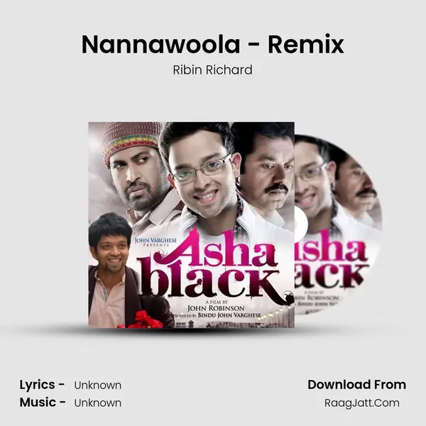 Nannawoola - Remix MP3 Song by Ribin Richard Cover