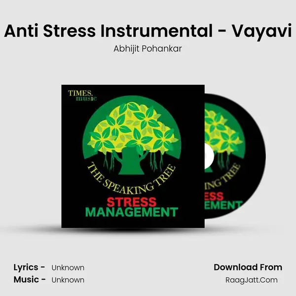 Anti Stress Instrumental - Vayavi MP3 Song by Abhijit Pohankar Cover