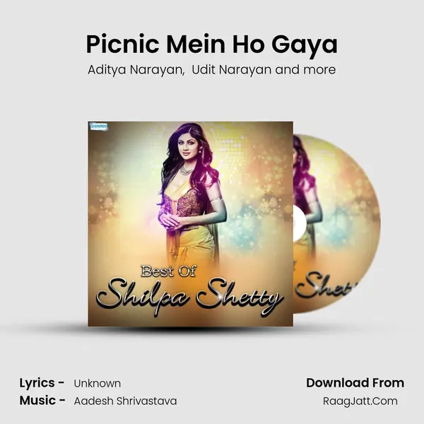 Picnic Mein Ho Gaya MP3 Song by Aditya Narayan Cover