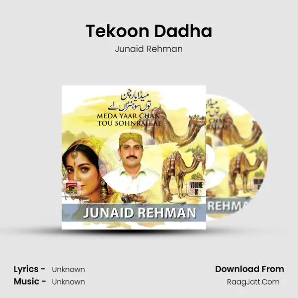 Tekoon Dadha MP3 Song by Junaid Rehman Cover