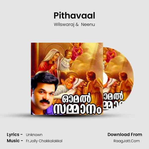 Pithavaal MP3 Song by Wilswaraj Cover