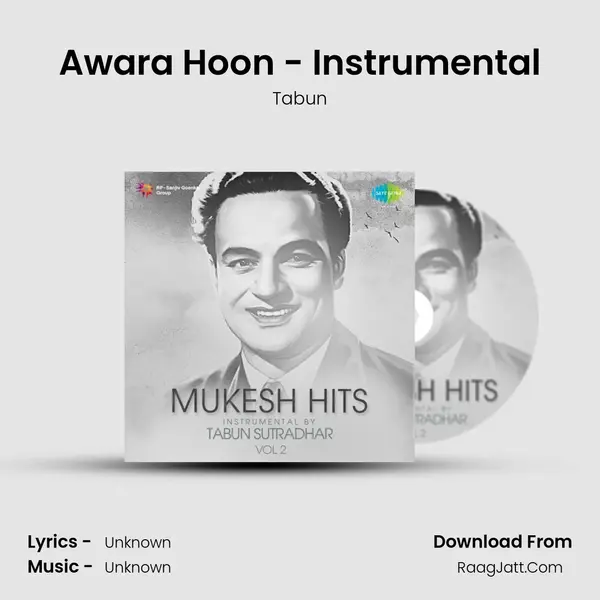 Awara Hoon - Instrumental MP3 Song by Tabun Cover