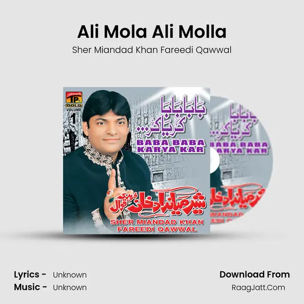 Ali Mola Ali Molla MP3 Song by Sher Miandad Khan Fareedi Qawwal Cover