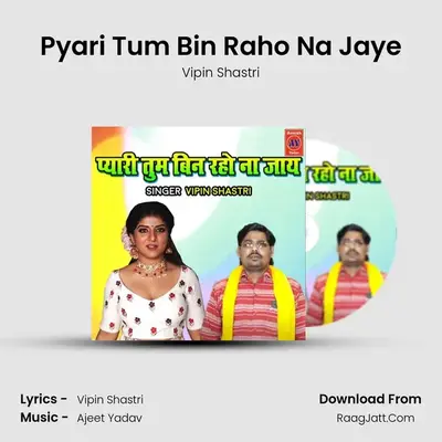 Pyari Tum Bin Raho Na Jaye mp3 song