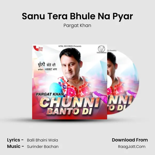 Sanu Tera Bhule Na Pyar Cover