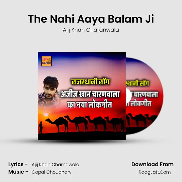 The Nahi Aaya Balam Ji mp3 song