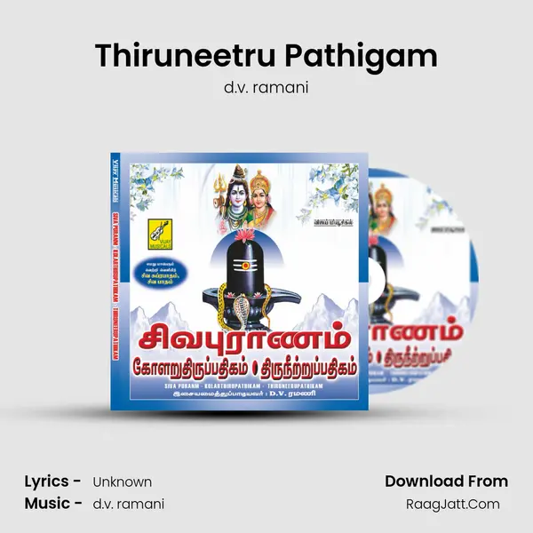 Thiruneetru Pathigam MP3 Song by d.v. ramani Cover
