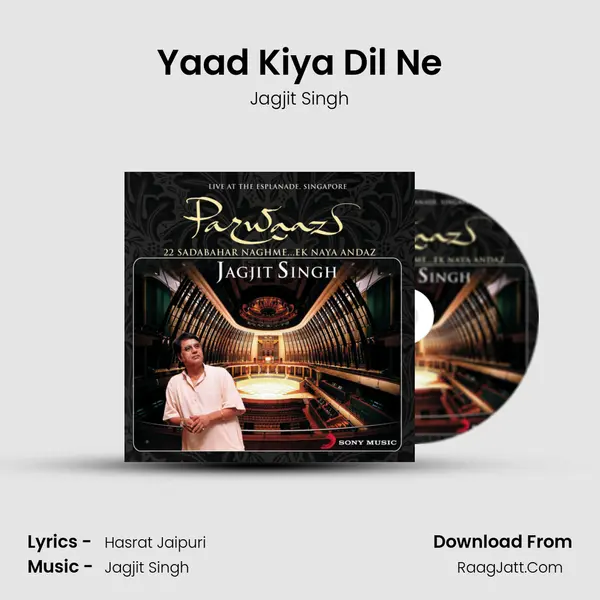 Yaad Kiya Dil Ne MP3 Song by Jagjit Singh Cover