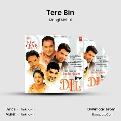 Tere Bin MP3 Song by Mangi Mahal Cover