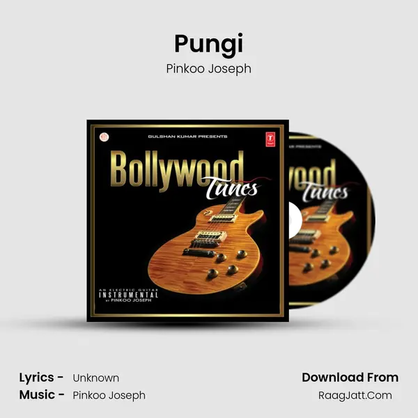 Pungi mp3 song