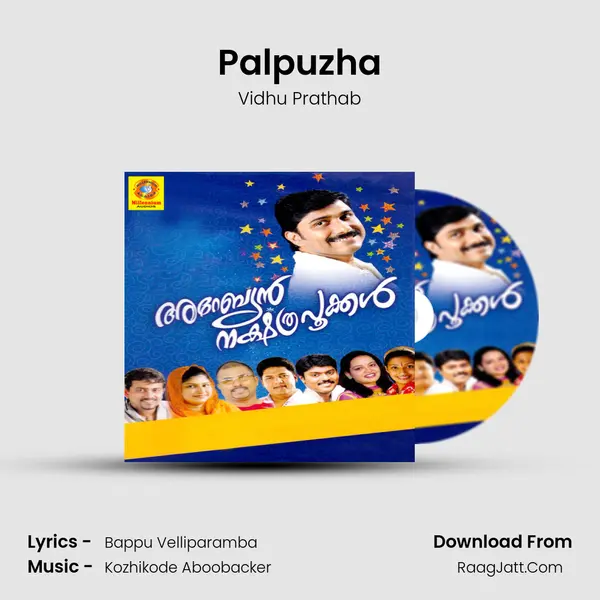 Palpuzha MP3 Song by Vidhu Prathab Cover