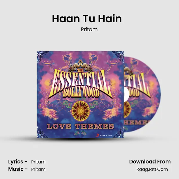 Haan Tu Hain (From "Jannat") (Instrumental) Cover