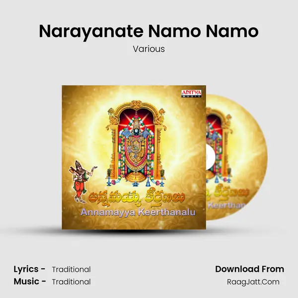 Narayanate Namo Namo MP3 Song by Various Cover