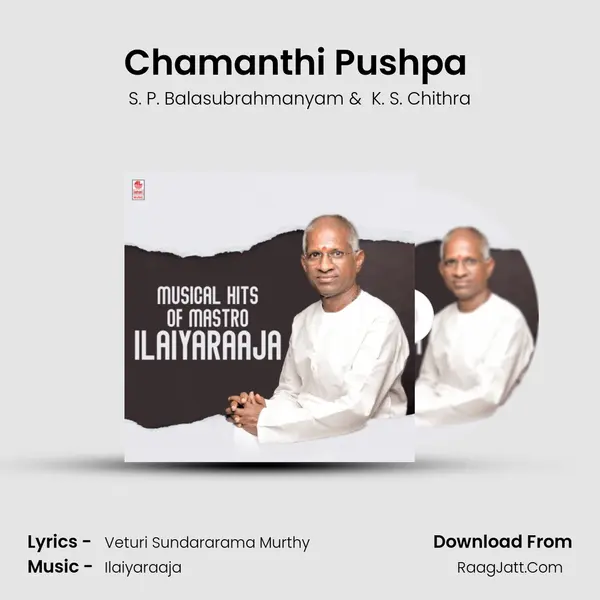 Chamanthi Pushpa (From Chamanthi) mp3 song