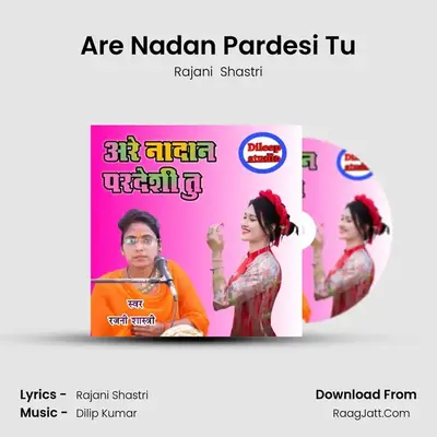 Are Nadan Pardesi Tu Cover