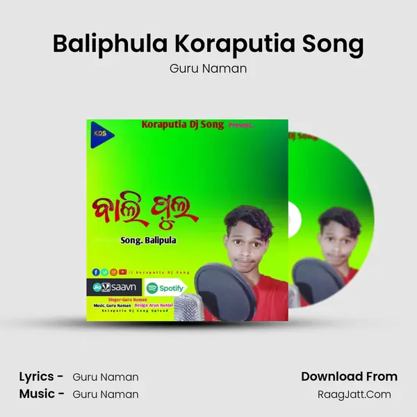 Baliphula Koraputia Song MP3 Song by Guru Naman Cover