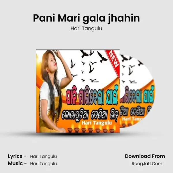 Pani Mari gala jhahin mp3 song