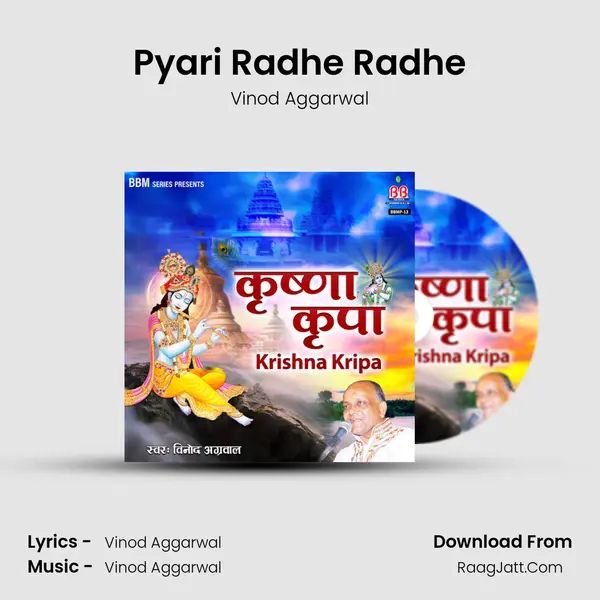 Pyari Radhe Radhe Cover