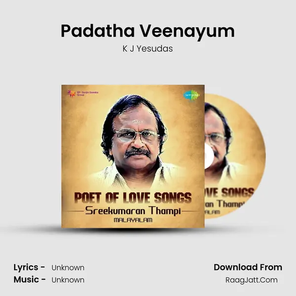 Padatha Veenayum Cover