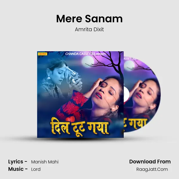 Mere Sanam MP3 Song by Amrita Dixit Cover