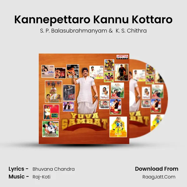 Kannepettaro Kannu Kottaro Cover