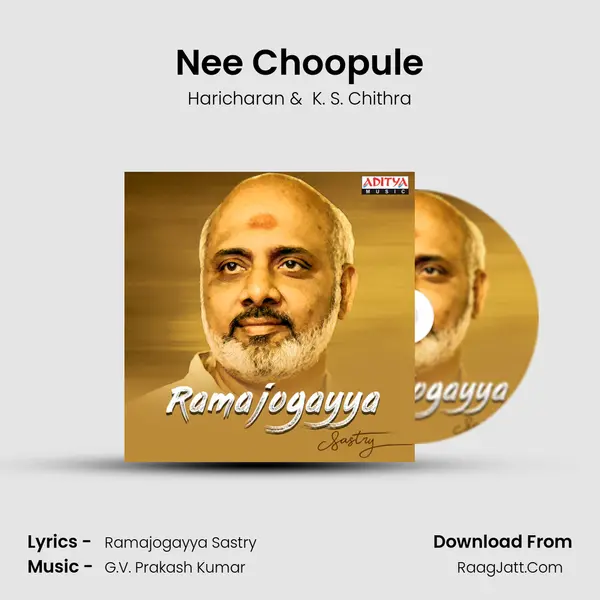 Nee Choopule Cover
