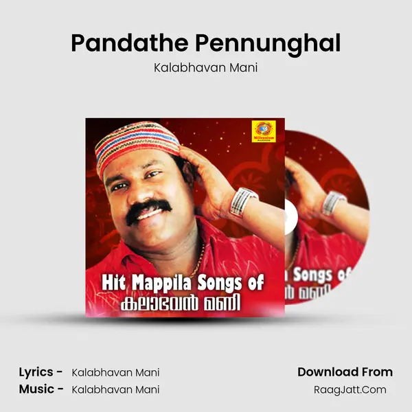 Pandathe Pennunghal MP3 Song by Kalabhavan Mani Cover