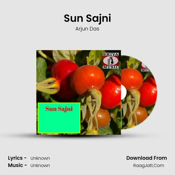 Sun Sajni MP3 Song by Arjun Das Cover