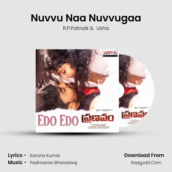 Nuvvu Naa Nuvvugaa MP3 Song by R.P.Patnaik Cover
