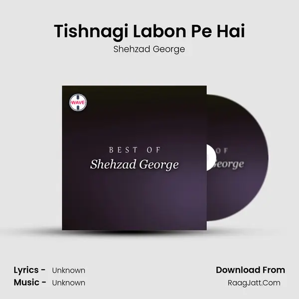 Tishnagi Labon Pe Hai Cover