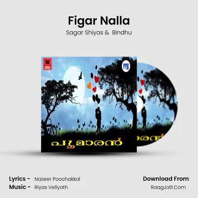 Figar Nalla MP3 Song by Sagar Shiyas Cover
