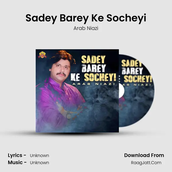 Sadey Barey Ke Socheyi MP3 Song by Arab Niazi Cover