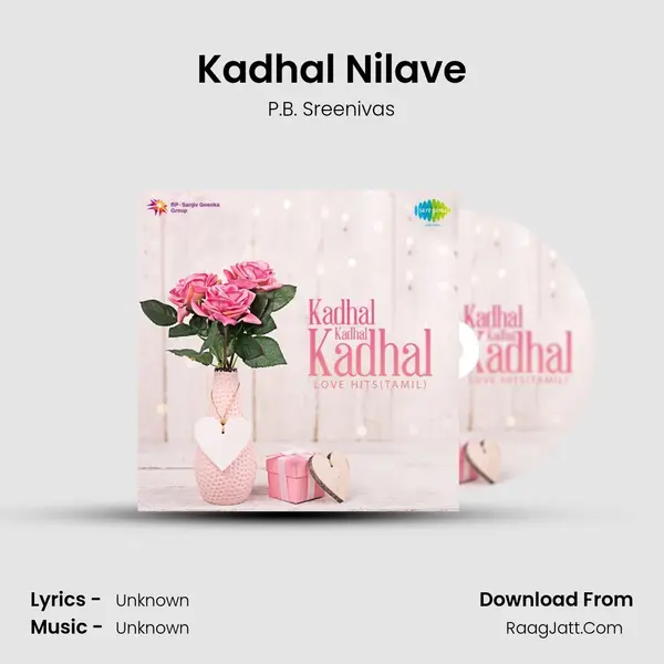 Kadhal Nilave MP3 Song by P.B. Sreenivas Cover