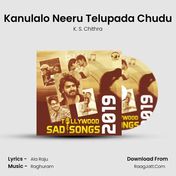 Kanulalo Neeru Telupada Chudu Cover
