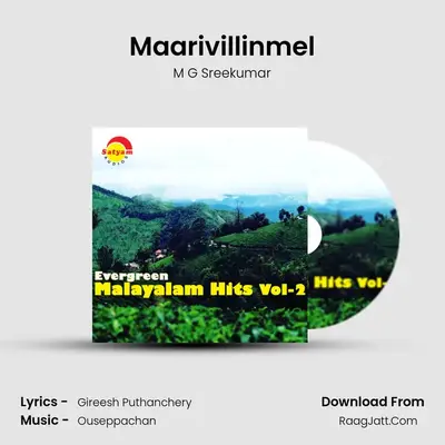 Maarivillinmel Cover