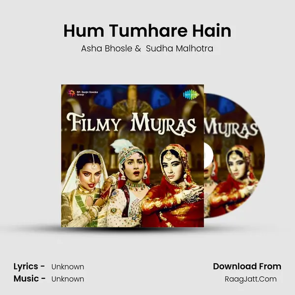 Hum Tumhare Hain Cover