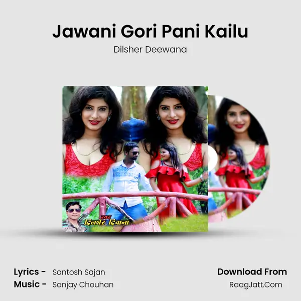 Jawani Gori Pani Kailu mp3 song