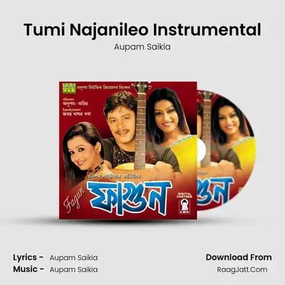 Tumi Najanileo Instrumental MP3 Song by Aupam Saikia Cover